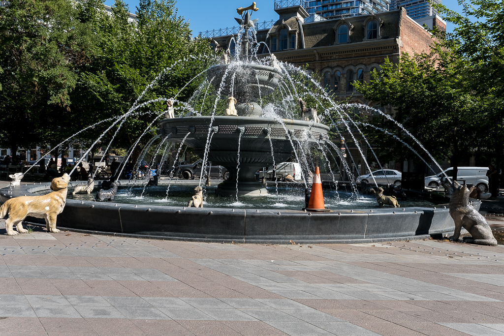 Berczy Park TO Cityscapes