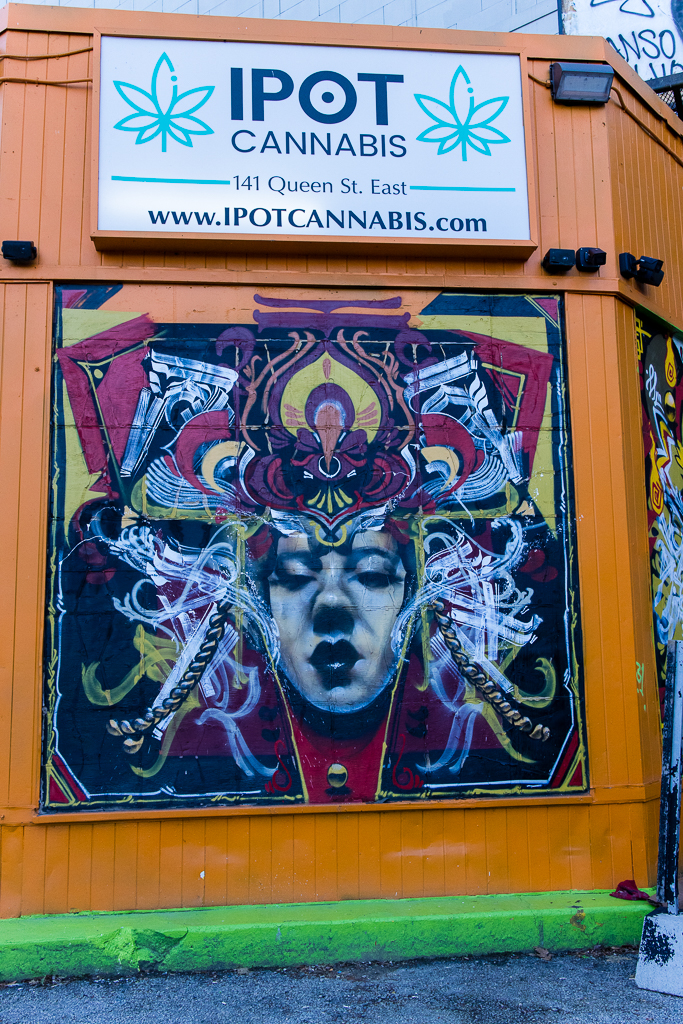 Murals at Queen Street East & Jarvis Street TO Cityscapes